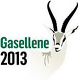 Gasellebedrift 2013